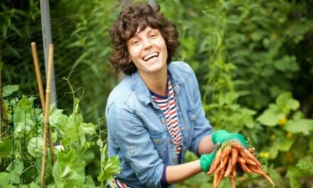 How to Grow Your Carrots in the Backyard