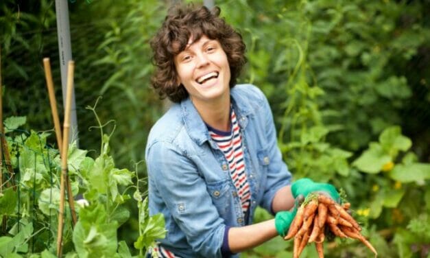 How to Grow Your Carrots in the Backyard