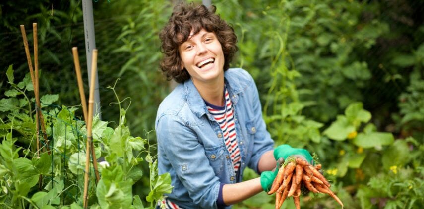 How to Grow Carrots in your Back Yard