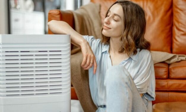 The Best Air Purifiers Trending in 2022