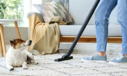 The Best Vacuum Cleaners for Dog Owners