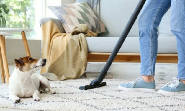 The Best Vacuum Cleaners for Dog Owners