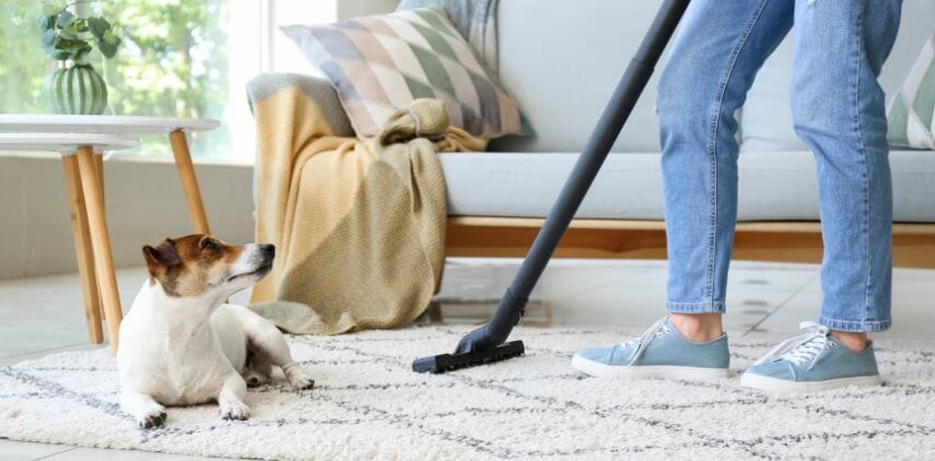 The Best Vaccum Cleaners for Dog Owners
